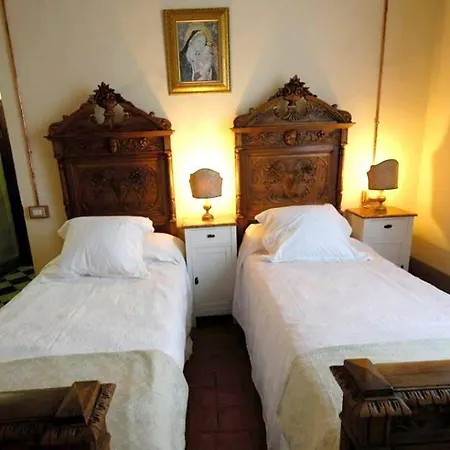 Cimamori 3*