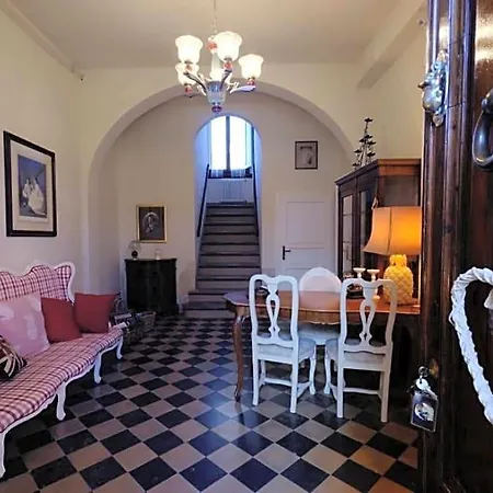 Cimamori Poggibonsi