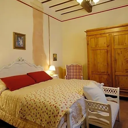 Cimamori 3*